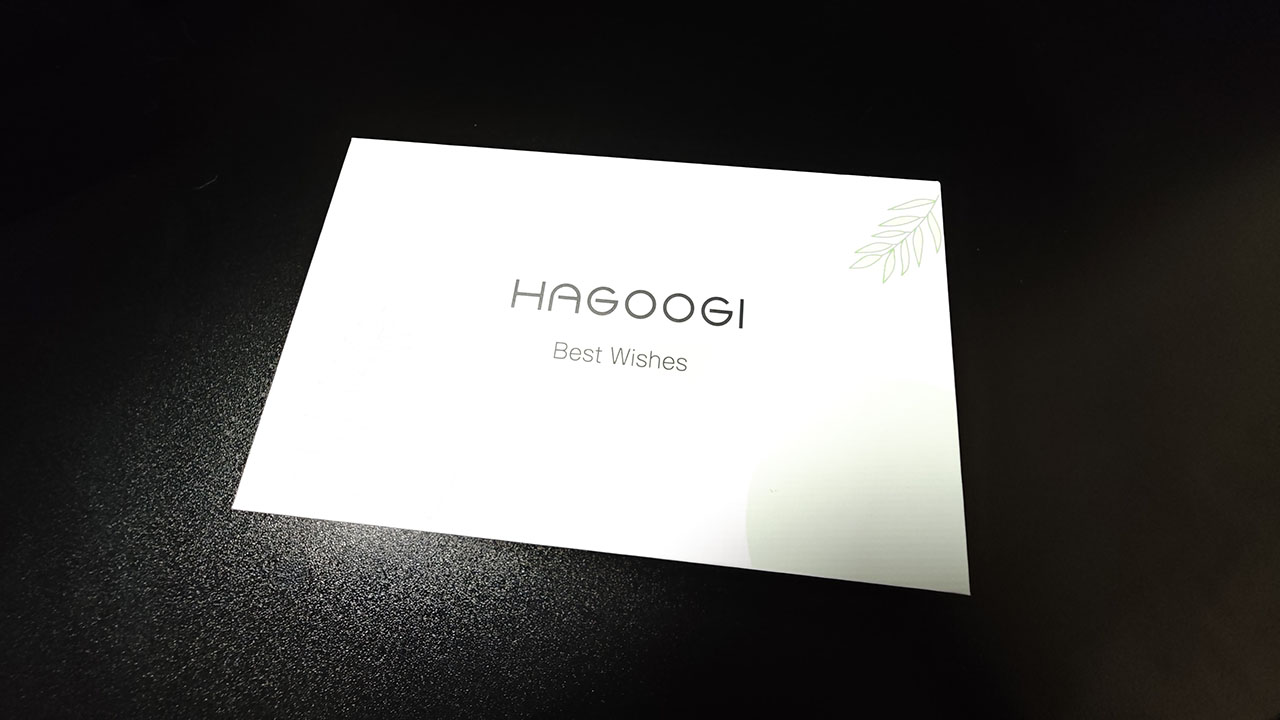HAGOOGI 充電式カイロ