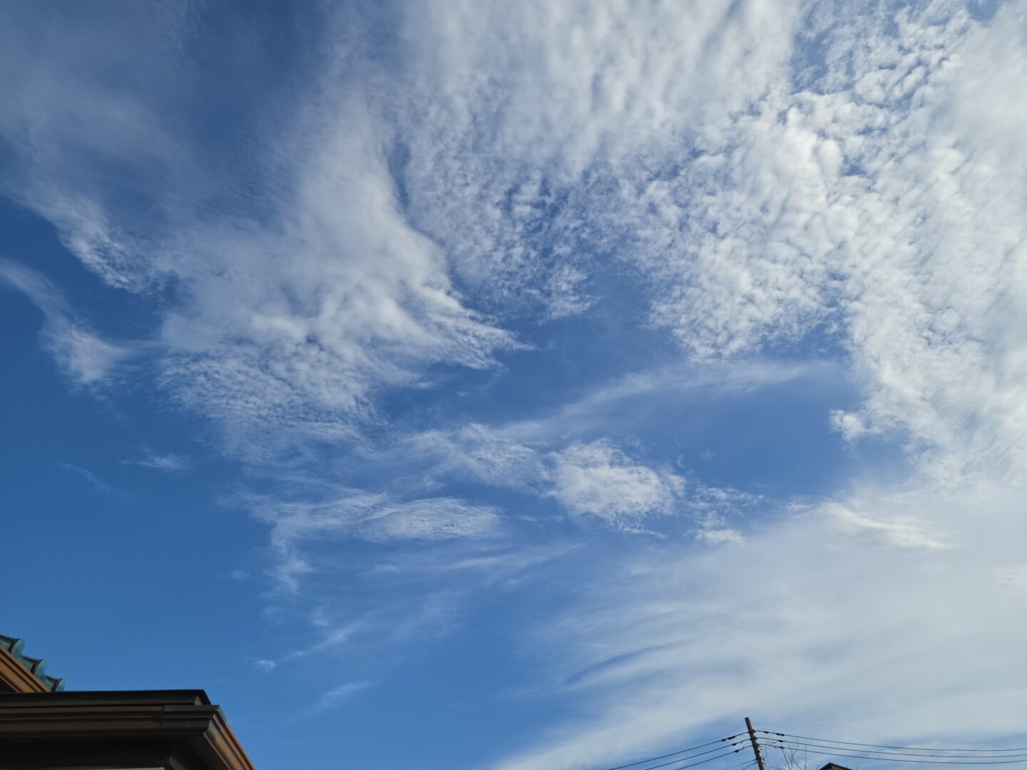 Galaxy Z Fold8 Ultraのカメラで撮影した晴天